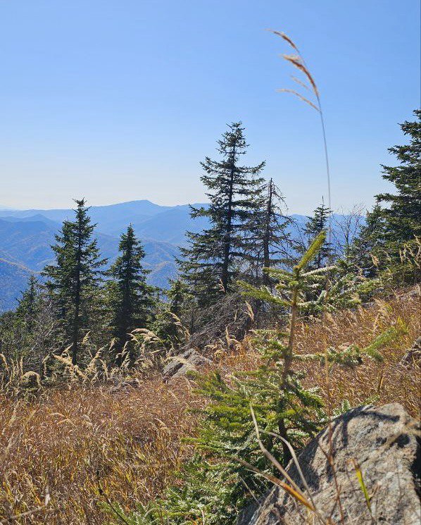 IMAGE 2025-10-09 121211.jpg